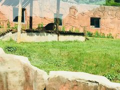 -无锡动物园·太湖欢乐园