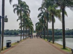 -南宁南湖公园
