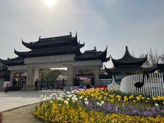 -苏州上方山国家森林公园