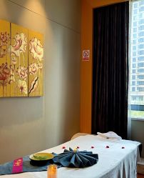 点击看大图 -iSpa