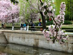 -元大都城垣遗址公园