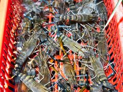 -79号渔船海鲜饭店(华强北店)