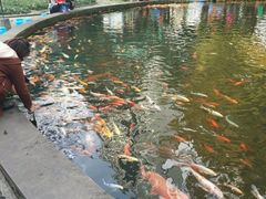 -温江公园