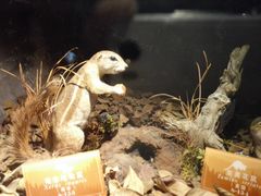 -陕西自然博物馆