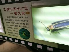 -上海昆虫博物馆