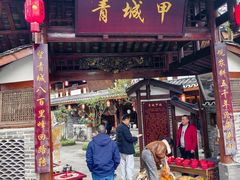 -青城甲(青城山店)