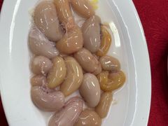 -花苑美食横琴生蚝火锅(拱北粤华路店)