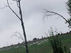 -塔尔寺