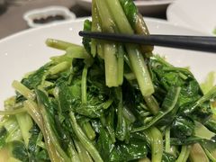 -望乡楼上海菜(日月光店)