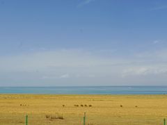 -青海湖国家重点风景名胜区
