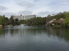 -井之头恩赐公园