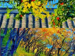 -玉渡山自然风景区