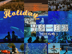 -海合安青岛极地海洋公园