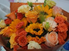 -Apple零售店(深圳益田假日广场店)