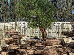 -观宴·品质赣菜(高新大道店)