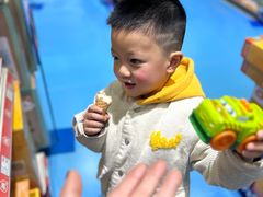 -TOYSRUS玩具反斗城(武汉荟聚中心店)