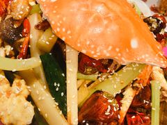 -胡桃里音乐酒馆(石家庄店)