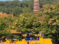 -宝通禅寺