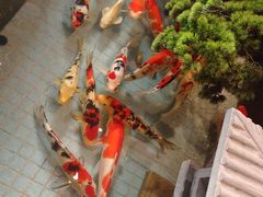 -长赢养生(平度店)