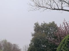 -唐城墙遗址公园