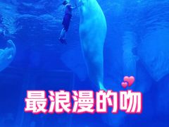 -上海海昌海洋公园-冰山北极馆