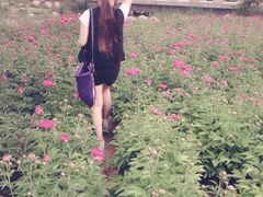 iphone_upload_pic-郑州植物园