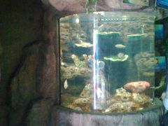 图像0054-蠡湖中央公园