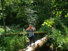 -五营红松林海景区