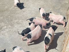 -水上乐园·欢乐世界