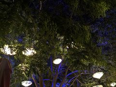 -郑州方特梦幻王国