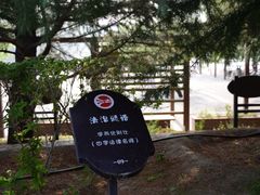 -大兴滨河森林公园