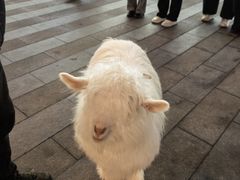 -大悦城(沈阳中街店)