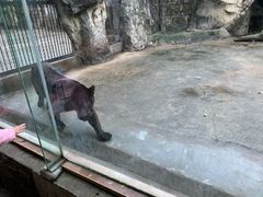 -南昌动物园