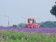 -西京湾花海