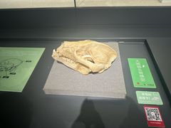 -四川大学博物馆