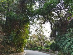 -广州市白云山风景名胜区