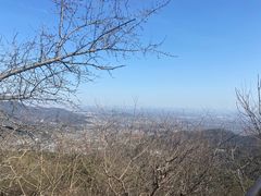 -香山公园