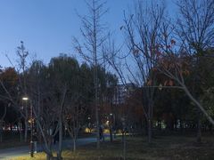 -回龙观体育文化公园