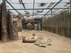 -郑州市动物园