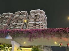 -珠江夜游天字码头