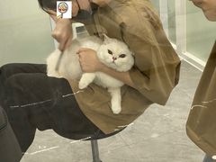 -爱洗澡的猫(天河路店)