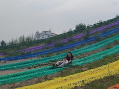 -中国马镇舞马世界主题乐园