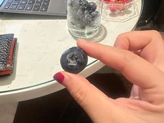 -油麻地果栏