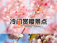 -新江湾城公园