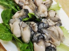 -金砂阿洲鱼册店