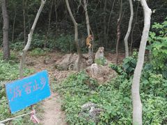 -南京金牛湖风景区