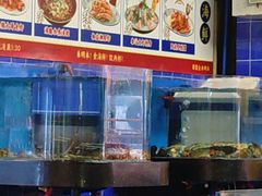 -明本湛江鸡•海鲜小厨(陈家祠店)