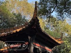 -广州兰圃