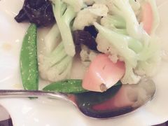 文东记-文东记(马里士他路)