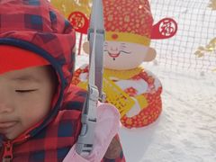 -绿野森林乐园冰雪季